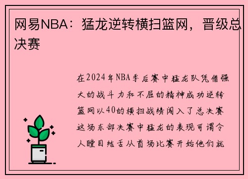 网易NBA：猛龙逆转横扫篮网，晋级总决赛
